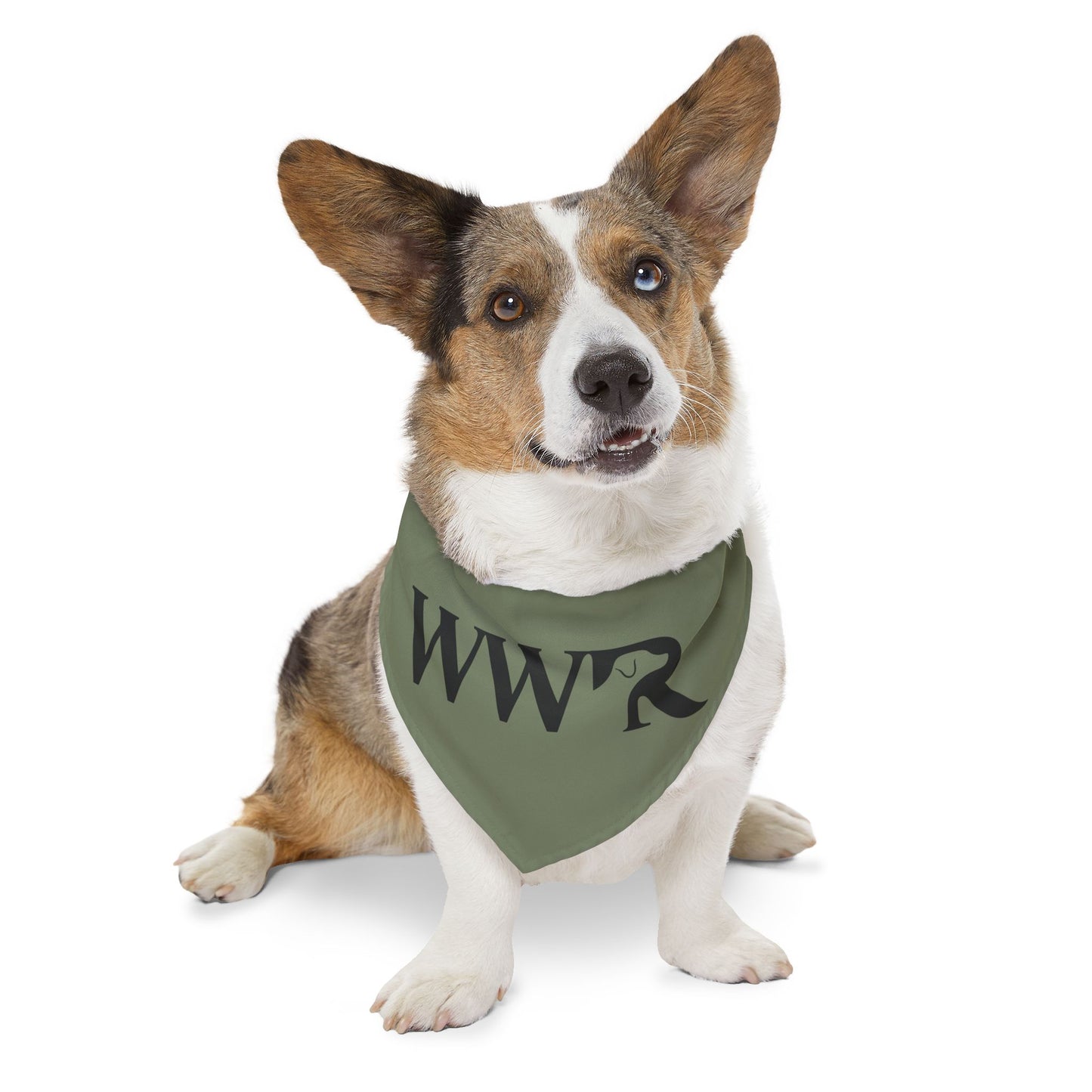 WWR Classic Logo - Dog Bandana Collar